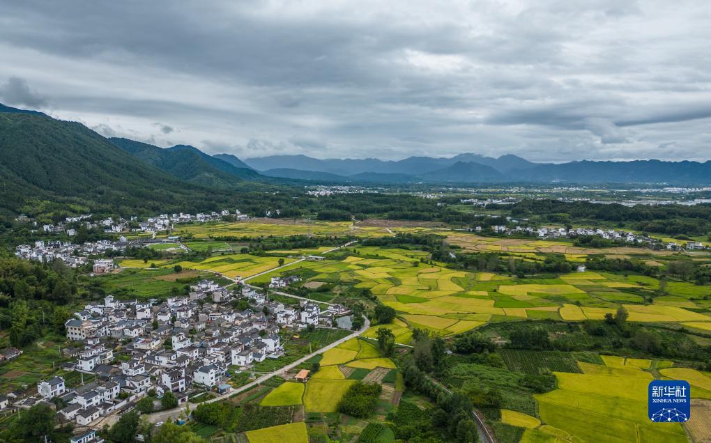 搜狗浏览器